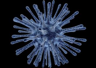 viirus